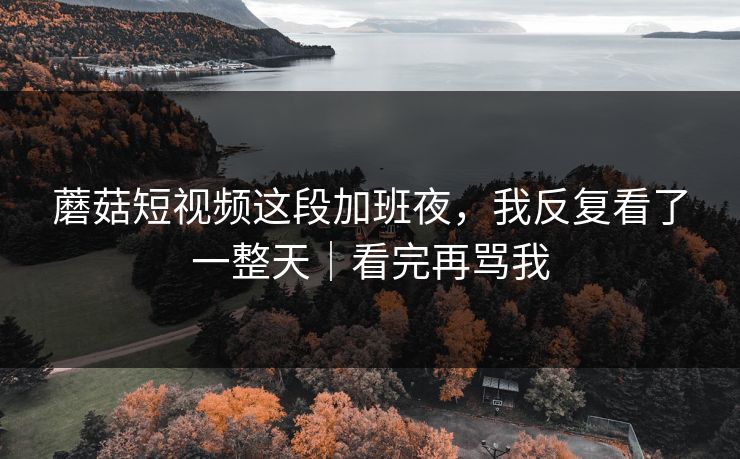 蘑菇短视频这段加班夜,我反复看了一整天|看完再骂我 蘑菇短视频这段加班夜,我反复看了一整天|看完再骂我